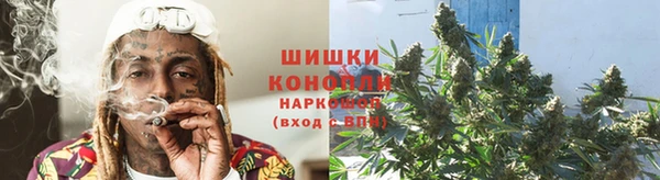 ПСИЛОЦИБИНОВЫЕ ГРИБЫ Нея