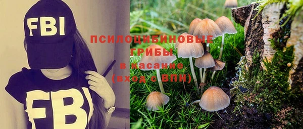 прущие крисы Нефтегорск