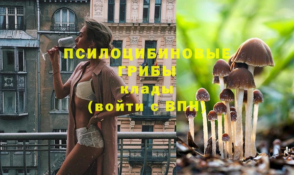 прущий лед Нефтекумск