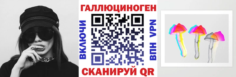 Купить закладки  Чебоксары  Псилоцибиновые грибы MAGIC MUSHROOMS 