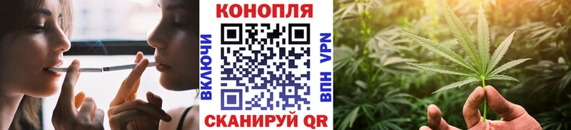 Купить закладки  Чебоксары  Бошки Шишки сатива 